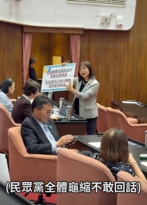 林淑芬怒嗆民眾黨立委，高虹安的恩師洪毓祥笑笑滑手機。（翻攝自民進黨立法院黨團）