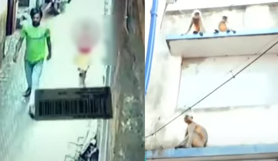 女童險遭陌生男子侵犯，危急時一群猴子現身攻擊嫌犯，嚇退嫌犯。（翻攝YT頻道「News18 UP Uttarakhand」2）