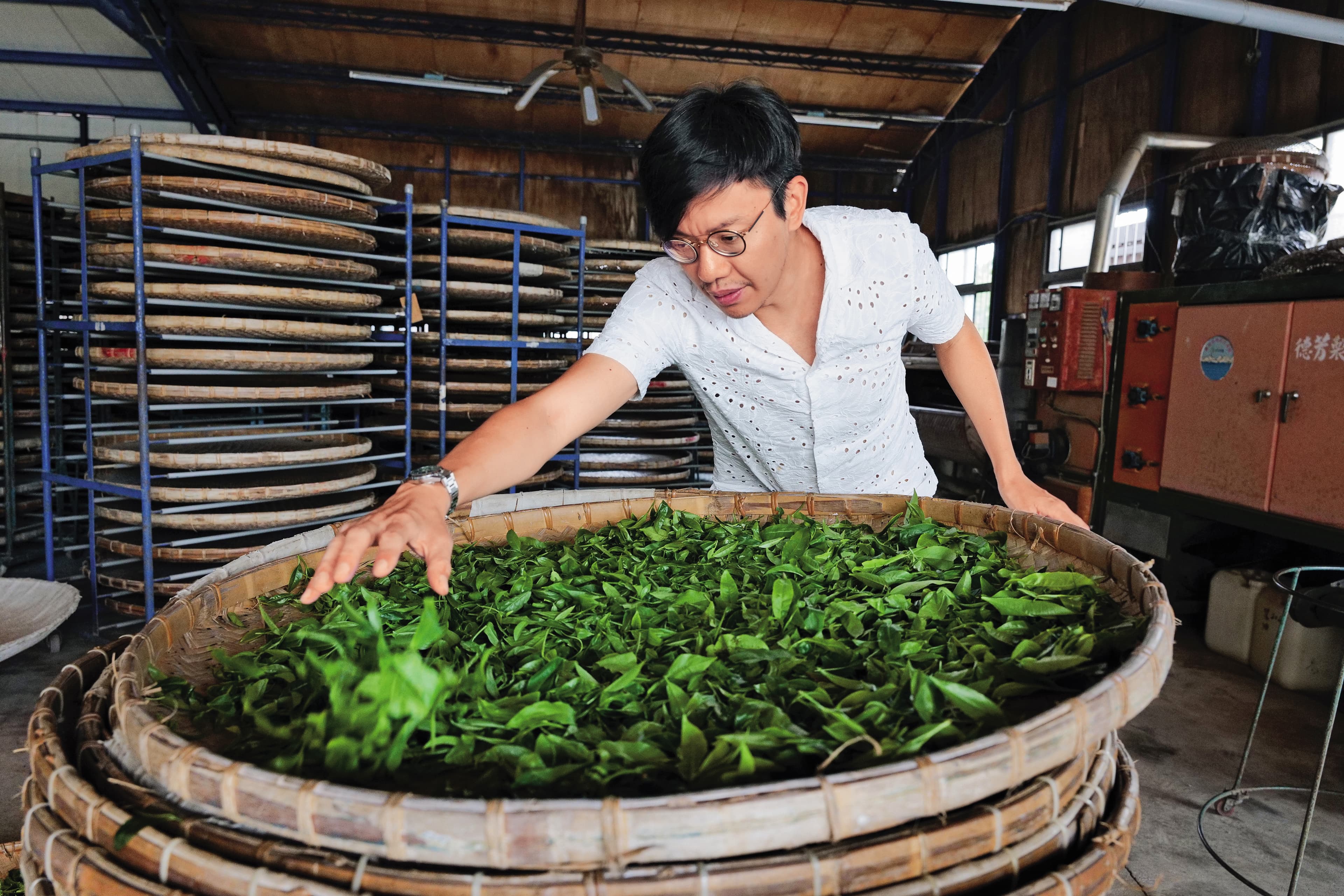 常行深賣茶，更親自製茶。
