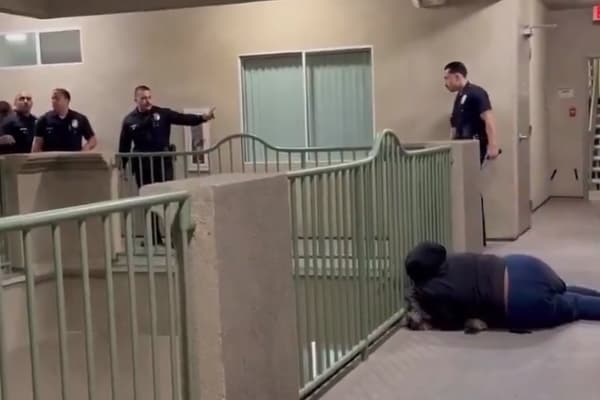 目睹愛犬在眼前倒下，飼主瑪莉歇斯底里地抱著遺體痛哭。（翻攝自Ｘ）