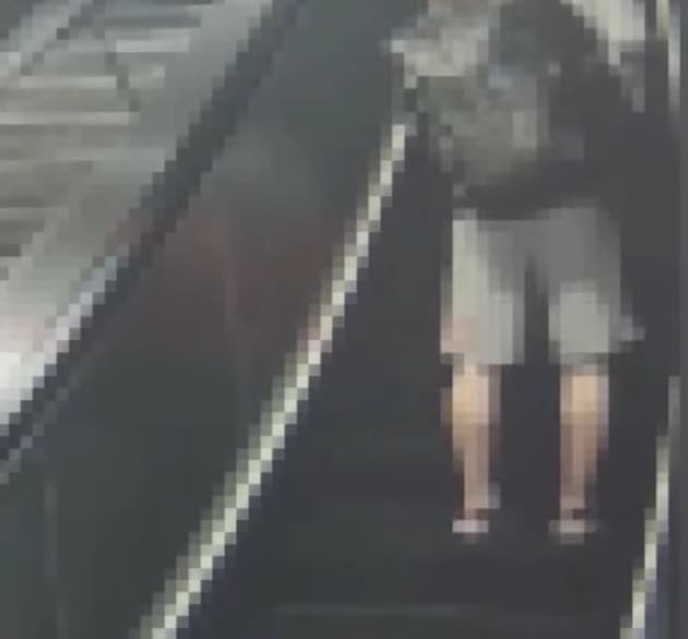 佐佐木貴法今年6月才在中山站偷拍女性裙底被逮。（翻攝畫面）