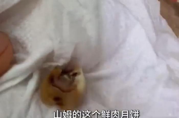 顧客指控家人在月餅內吃到牙齒，沒想到業者接獲投訴竟改標繼續賣。（翻攝微博）