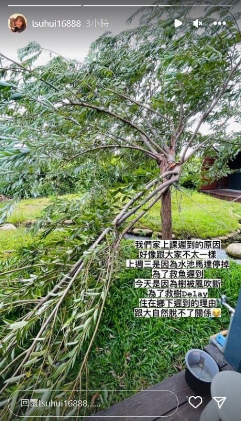 宥勝家的樹木被強風吹斷。（翻攝蕾媽IG）