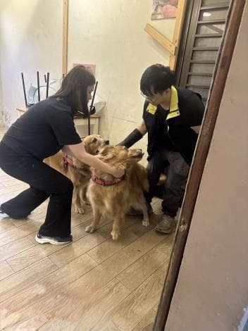 動防所前往稽查。（苗栗動防所提供）