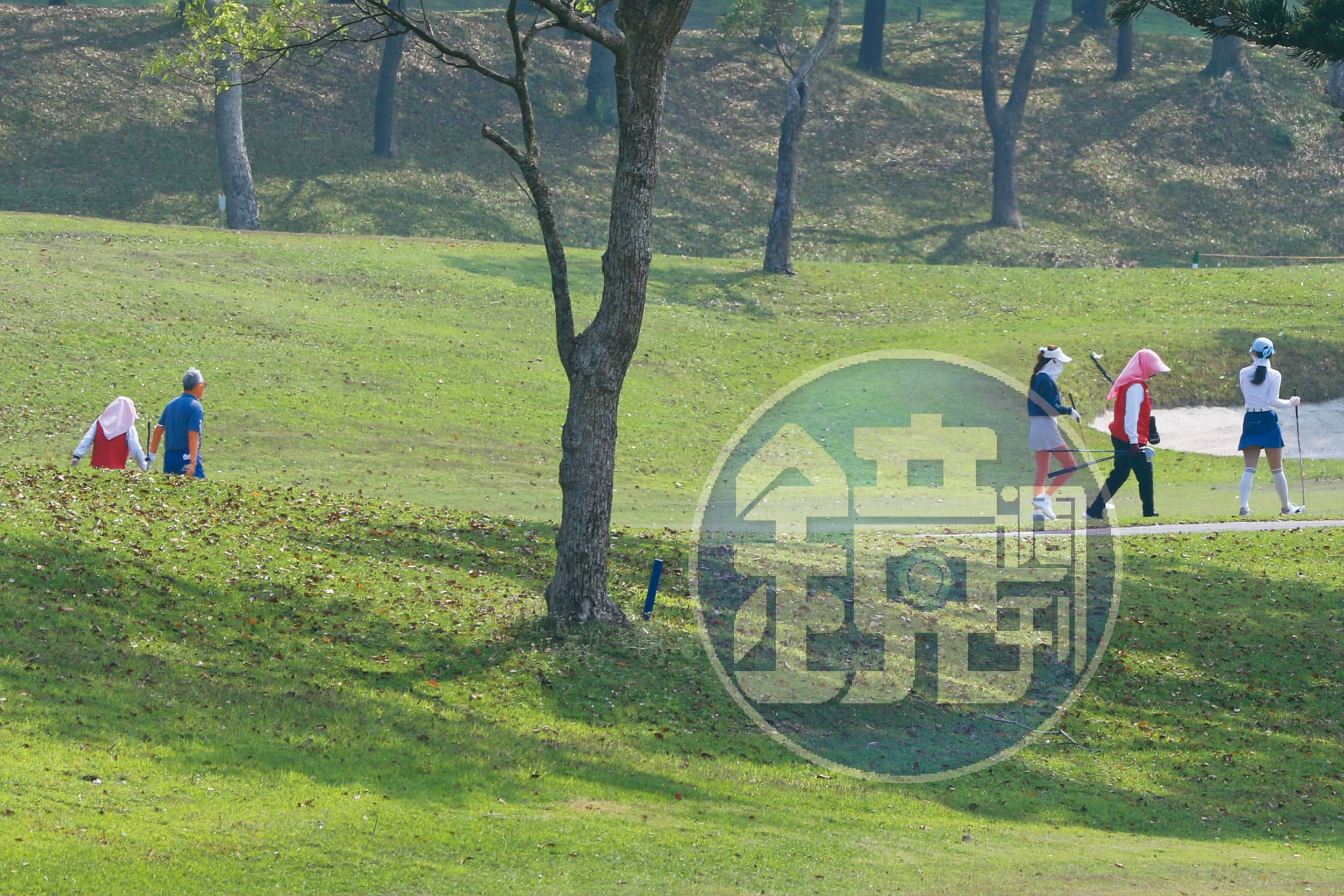 郭台銘與藍衣熟女彷彿夫妻一般經常作伴打球，兩人間的八卦也逐漸傳開。