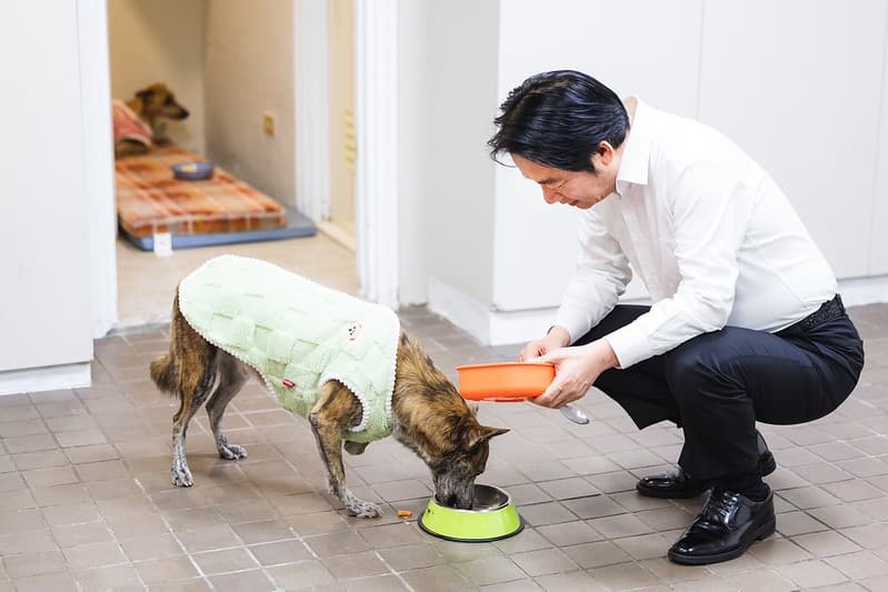 愛犬斑斑被領養前因傷截肢，但對牠的愛不減。（總統府提供）