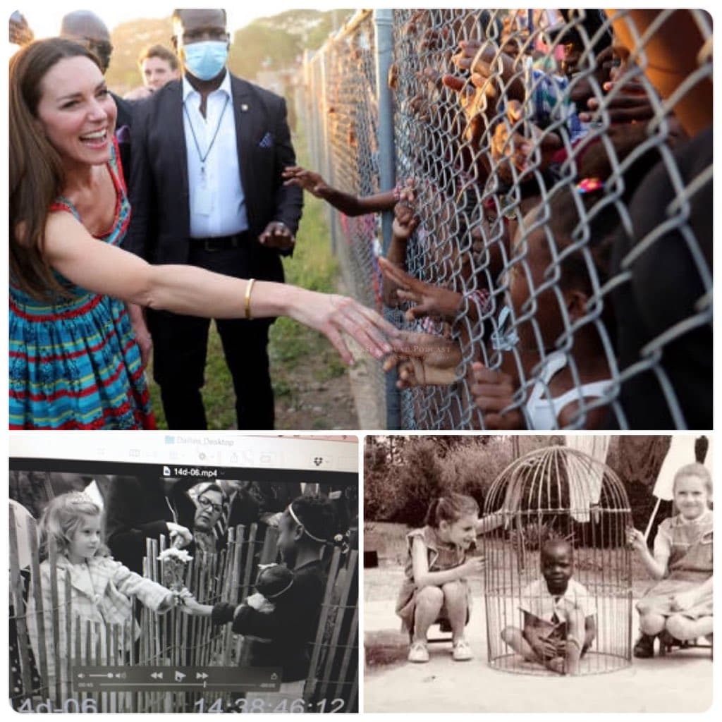 有網友聯想到1800~1960年代後期,黑人在放在動物園裡供人觀賞的樣子。(翻攝sussexsquadpod1推特)