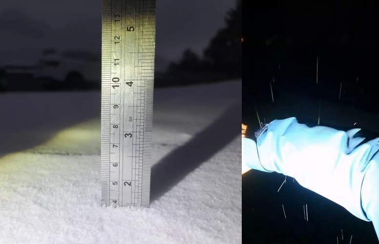 積雪厚達3.5公分,民眾看見皚皚白雪,迫不及待出門親身體驗被雪花打在身上的感覺。(林業署南投分署提供)